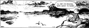 calvinandhobbesenjoyingnature.jpg calvinandhobbesenjoyingnature.jpg