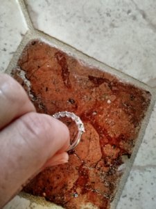 2016-04-21_0.jpg