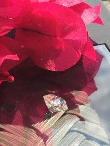img_11706.jpg
