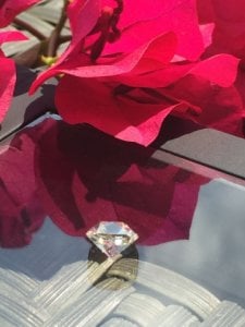 img_11708.jpg