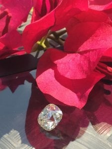 img_11709.jpg
