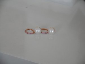 dscn0445.jpg