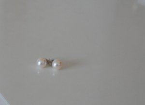dscn0457.jpg