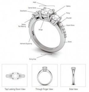 ring_anatomy.jpg