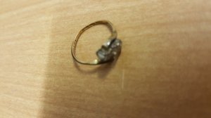 20160608_095951.jpg
