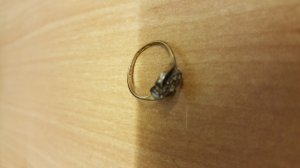 20160608_095948.jpg