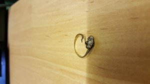 20160608_095905.jpg