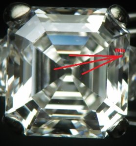 asscher_160609_1-j.jpg