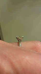 imag0626__1_.jpg