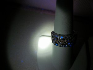 img_11904.jpg