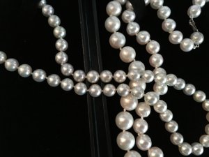 img_11905.jpg