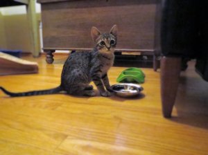 img_11912.jpg