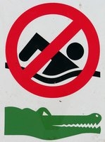 crocodile-sign.jpg