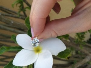 img_11946.jpg