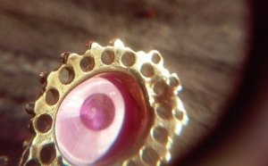 star_ruby_4_030.jpg