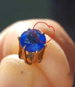 _37600.jpg