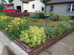 frontyard1.jpg