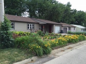 frontyard3.jpg