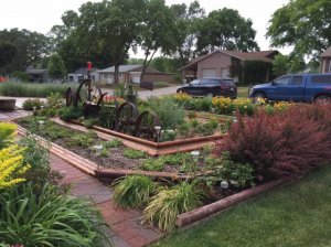 frontyard5.jpg
