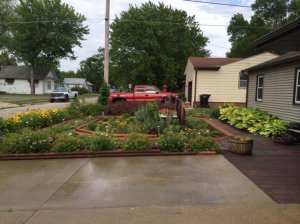 frontyard7.jpg