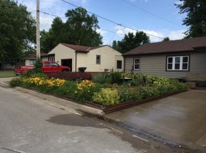 frontyard8.jpg