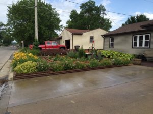 frontyard9.jpg