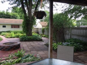 backyard3.jpg