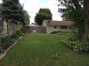 backyard4.jpg