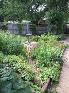 backyard6.jpg