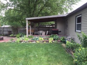 backyard7.jpg