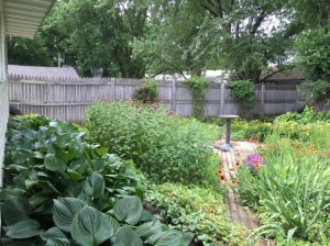backyard9.jpg