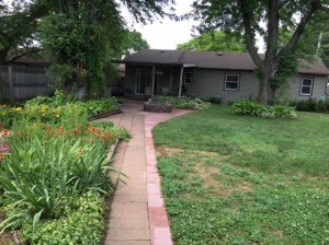 backyard11.jpg
