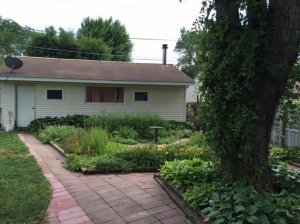 backyard12.jpg