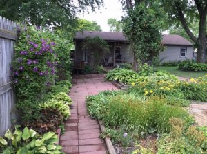 backyard15.jpg