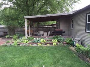 backyard18.jpg