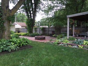 backyard20.jpg