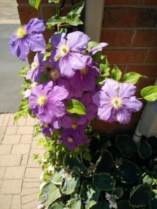 img_20160625_115101.jpg
