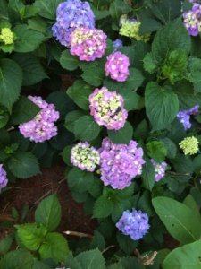 img_12000.jpg