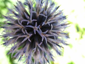 img_12003.jpg