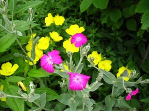img_7417__2_.jpg