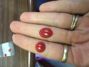 img_12004.jpg