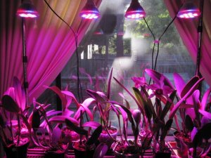 led_lights.jpg