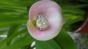 20160629_165536.jpg