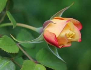 img_12049.jpg