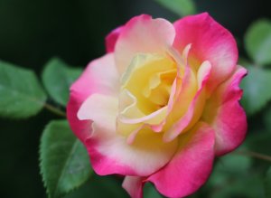 img_12050.jpg