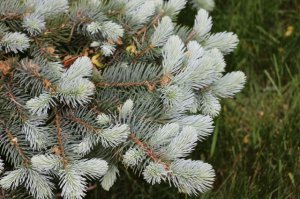 img_12053.jpg