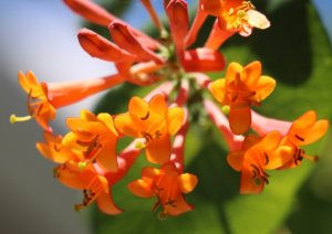 img_12056.jpg