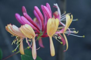 img_12057.jpg