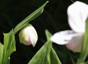 img_12077.jpg
