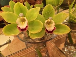 img_12094.jpg